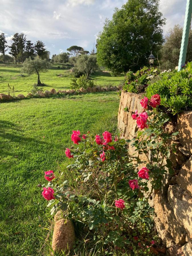 Agriturismo Is Conchisceddas Gonnosfanàdiga Eksteriør billede