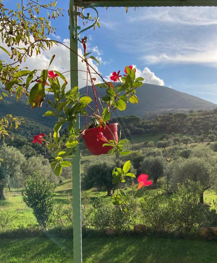 Agriturismo Is Conchisceddas Gonnosfanàdiga Eksteriør billede
