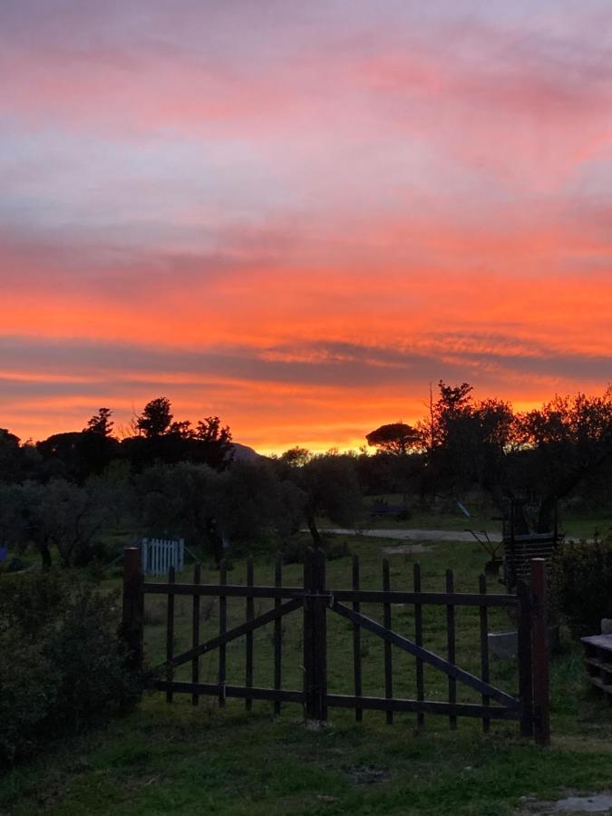 Agriturismo Is Conchisceddas Gonnosfanàdiga Eksteriør billede