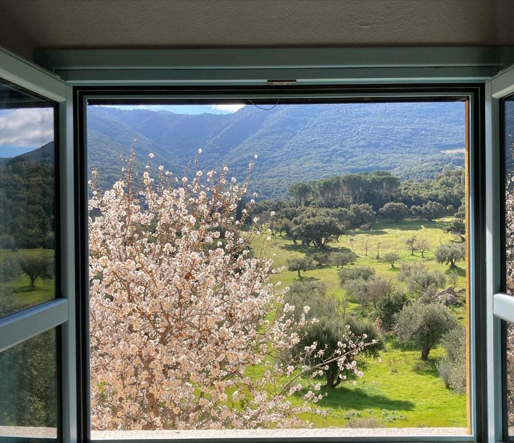 Agriturismo Is Conchisceddas Gonnosfanàdiga Eksteriør billede