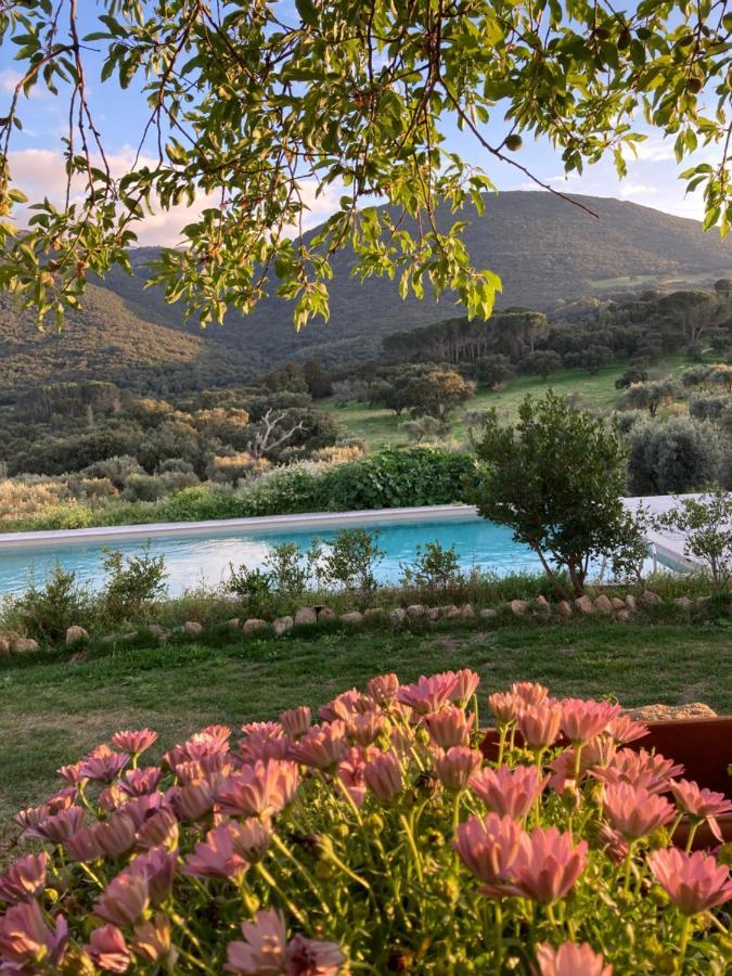 Agriturismo Is Conchisceddas Gonnosfanàdiga Eksteriør billede