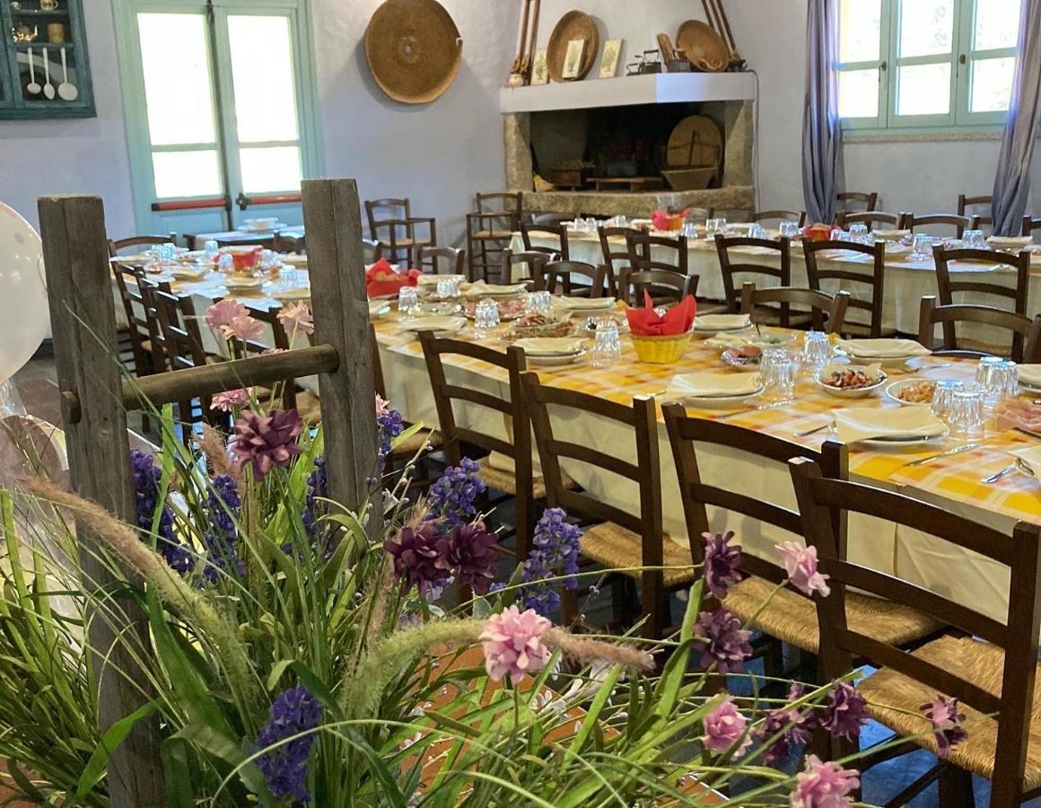 Agriturismo Is Conchisceddas Gonnosfanàdiga Eksteriør billede