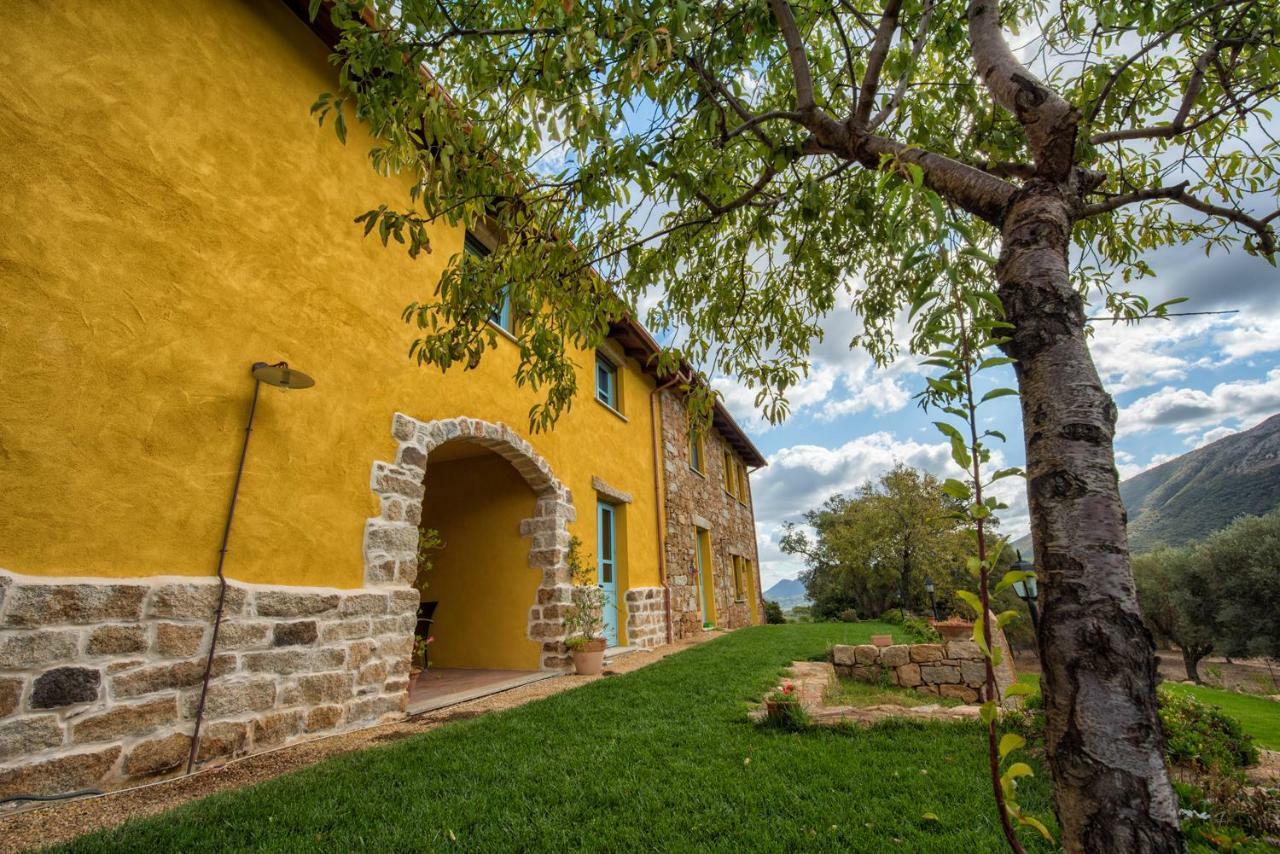 Agriturismo Is Conchisceddas Gonnosfanàdiga Eksteriør billede