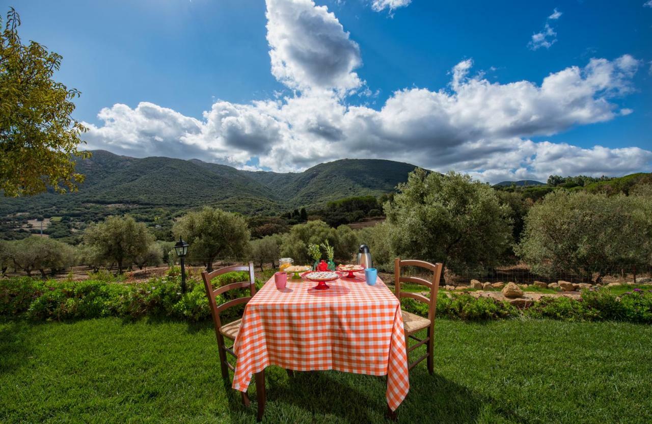 Agriturismo Is Conchisceddas Gonnosfanàdiga Eksteriør billede