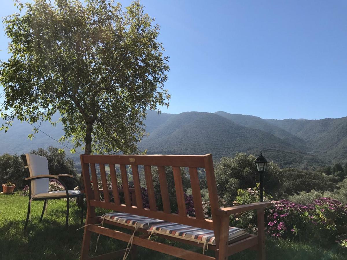 Agriturismo Is Conchisceddas Gonnosfanàdiga Eksteriør billede